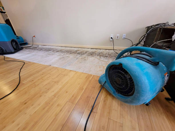 Professional Sewage Cleanup technician working in Glenwood, AR